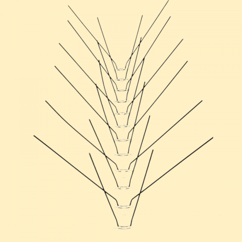 Bird spikes - 34 cm (72 spikes/m)